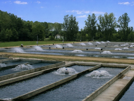  Aérateurs de surface 